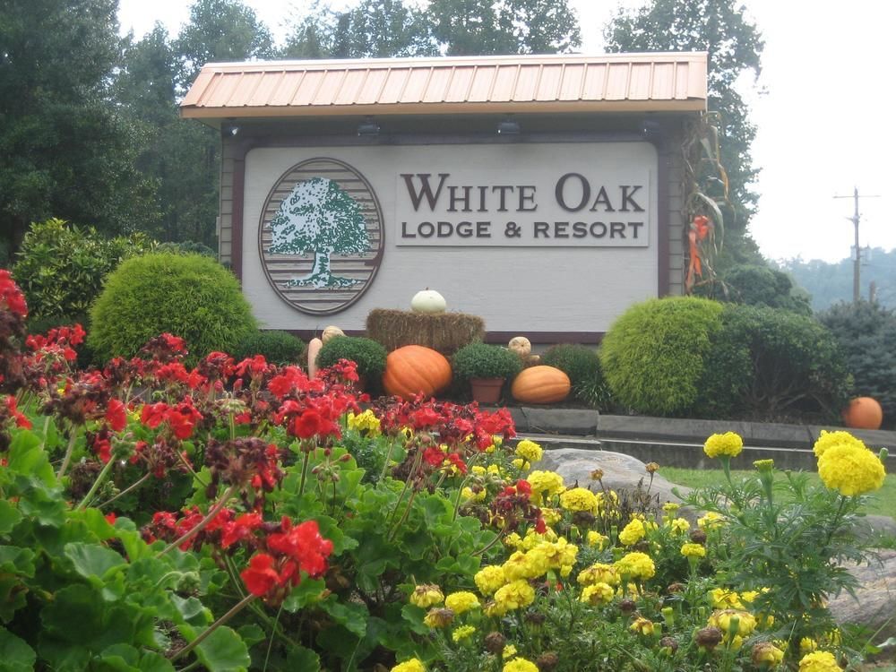 Pittman Center White Oak Lodge And Resort מראה חיצוני תמונה